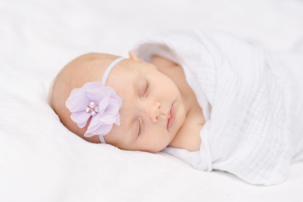 newborn photography asheville