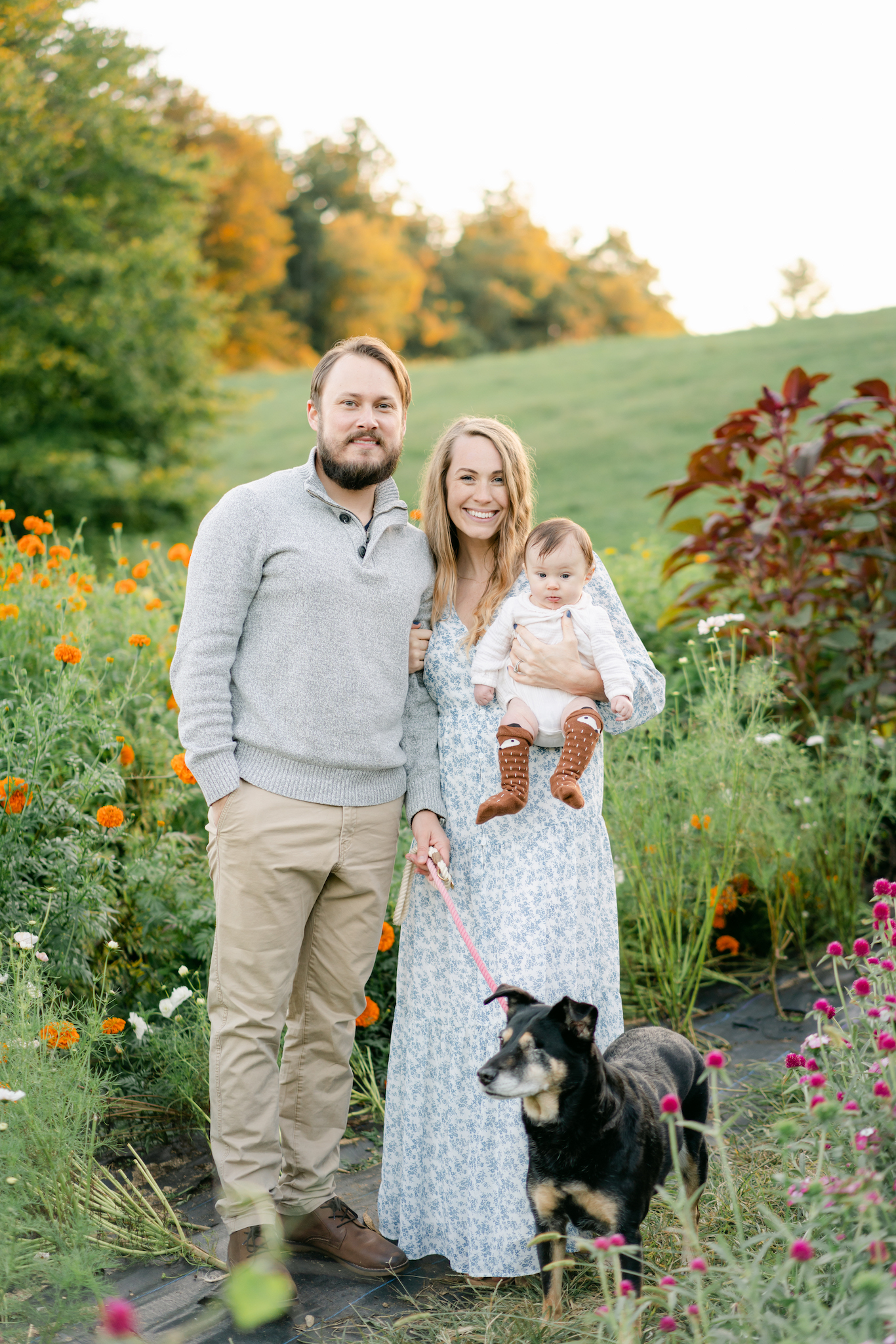 Family portrait in Asheville NC flower farm during the Fall. Beautiful Fall family session nestled in the flower fields with baby by Asheville family photographer, Lauren Sosler Photography.