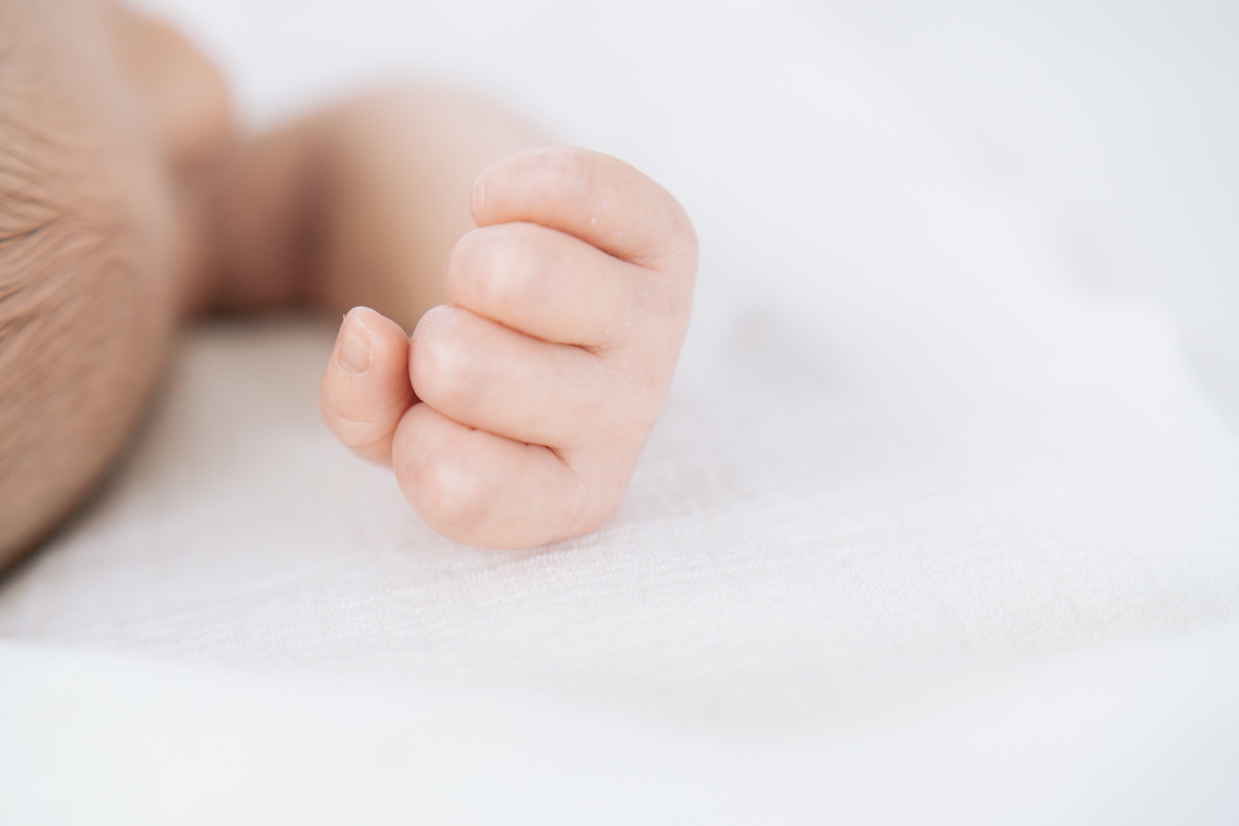 Newborn detail image of baby's hand. Photo by Asheville newborn photographer, Lauren Sosler Photography.