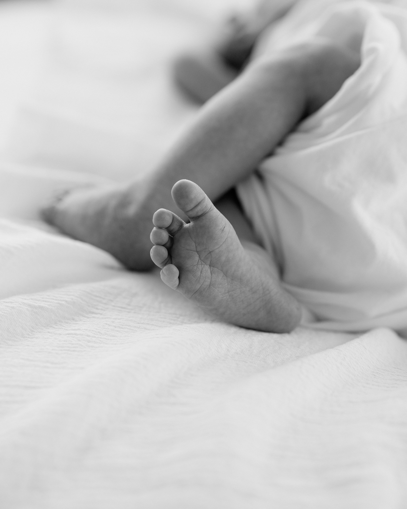 Black and white image of baby's feet. Photo by Lauren Sosler Photography.