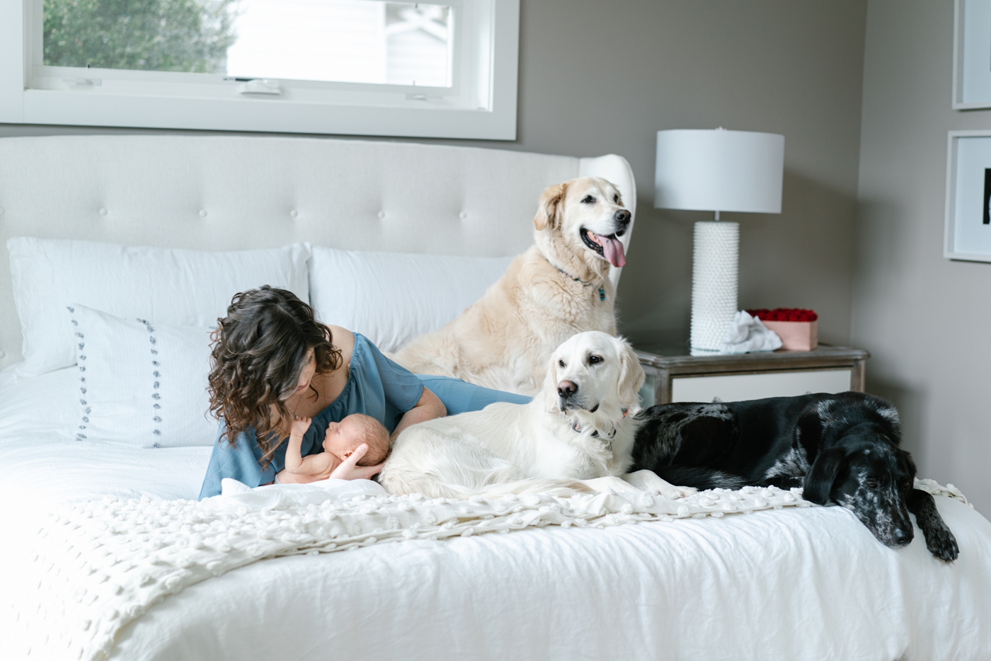 Mom on bed with baby and dogs during in-home lifestyle newborn session. Photo by Lauren Sosler Photography.