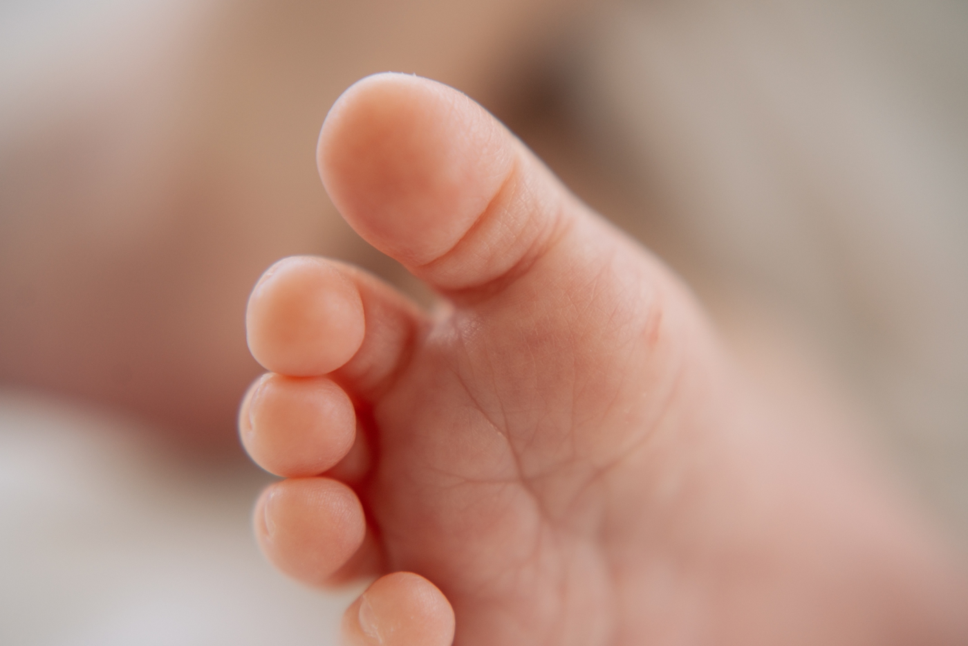 Closeup detail of newborn baby's toes during session by Lauren Sosler Photography. 
